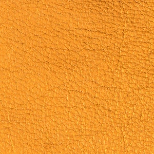 Lamb Skin Metallic Orange
