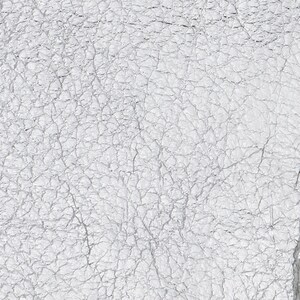 Lamb Skin Metallic Silver
