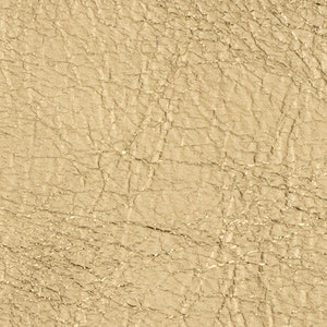 Lamb Skin Metallic Gold