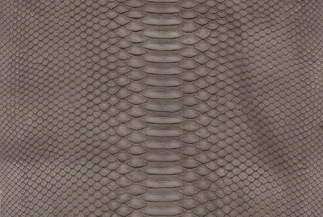 Python Skin Matte Storm Front Grade 2 - Etsy