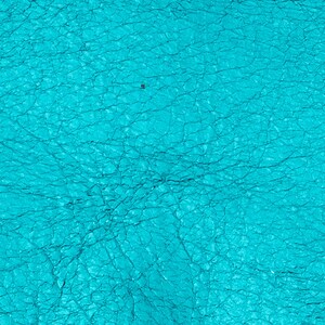 Lamb Skin Metallic Turquoise