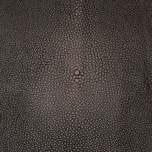 Stingray Skin Polished  Brown 11&quot;