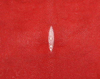 Rochenleder rot 28cm