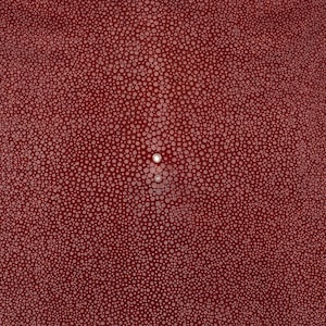 Stingray Skin Polished Red 11&quot;