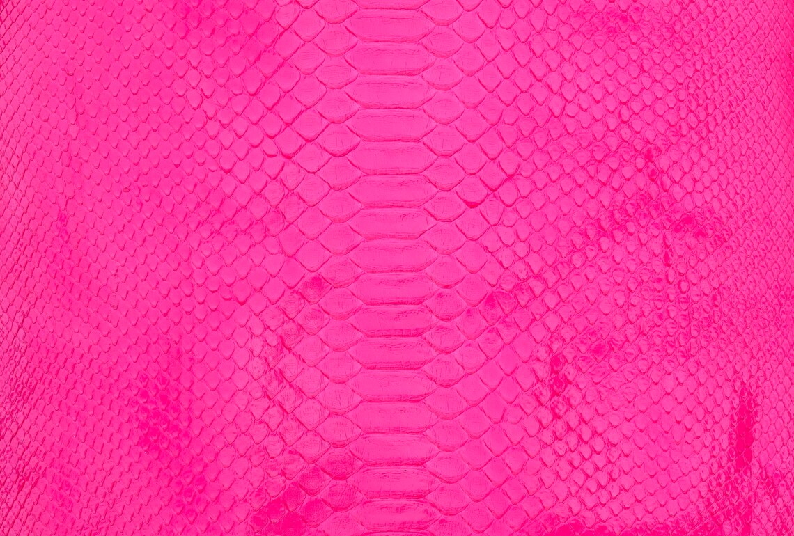 Python Skin Neon Pink Grade 1 - Etsy
