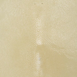 May include: A close-up of a light beige textured surface with a pattern of small white dots. The surface has a subtle sheen and a slightly bumpy texture.