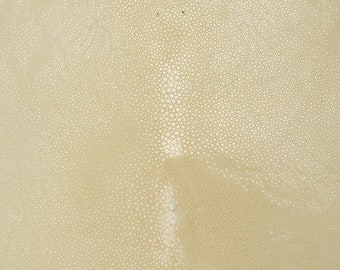 Rochenleder Angeschliffen Creme 30 cm