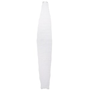 May include: White snakeskin, a long, narrow piece of leather with a textured surface.