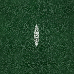 Stingray Skin Green 11&quot;