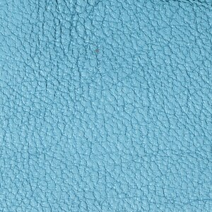 Lamb Skin Metallic Blue