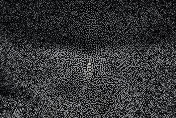 Stingray skin deals