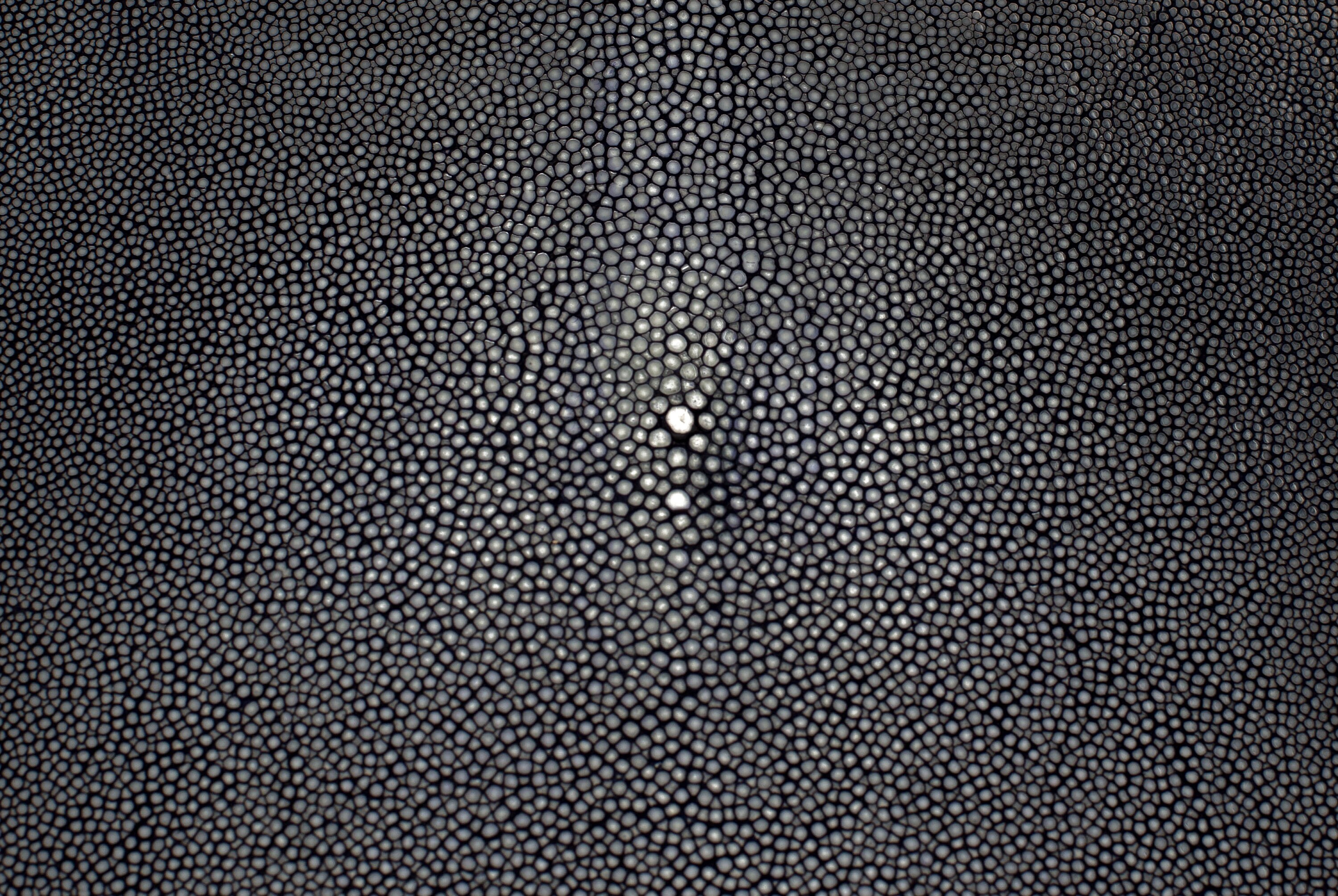 Real Genuine Polished Stingray Skin Leather Soft Hide Pelt Black Grade A 4.7inch