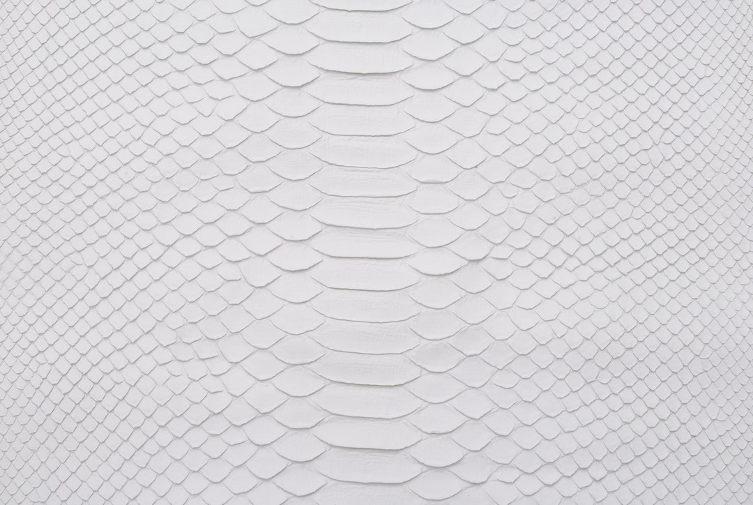 Python Skin Matte White Grade 1 - Etsy