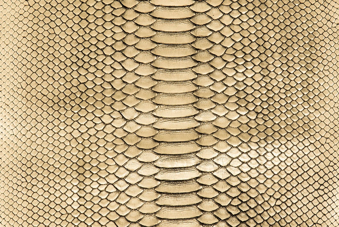 Python Skin Crisp Gold Black Grade 2 - Etsy