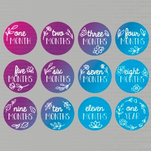 Varens en bloemen Baby Milestone Markers - allemaal uniek! Van 1 maand tot 1 jaar - SVG-vectorbestanden voor Lasercutter en Glowforge