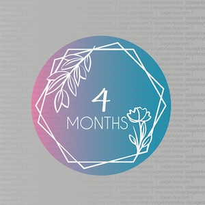 Hexagon + Flowers Baby Milestone Markers van 1 maand tot 1 jaar - SVG Vector-bestanden voor Lasercutter en Glowforge