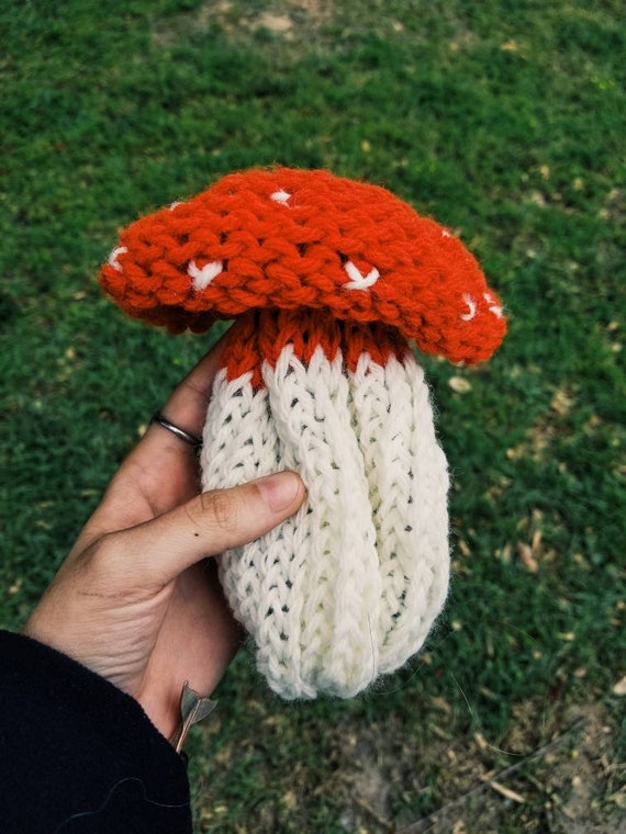 mushroom purse crochet