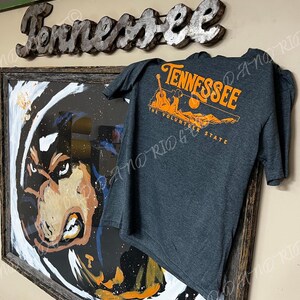 May include: A dark grey t-shirt with an orange graphic design featuring the text "Tennessee The Volunteer State" and a silhouette of a guitar and a mountain range.