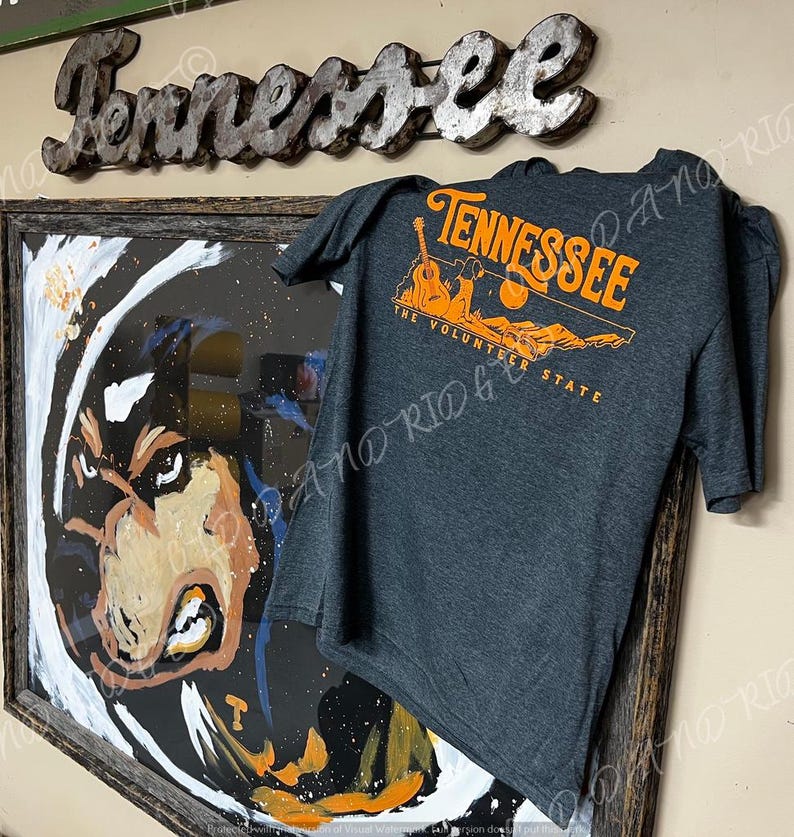 May include: A dark grey t-shirt with an orange graphic design featuring the text "Tennessee The Volunteer State" and a silhouette of a guitar and a mountain range.