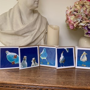 Pacote de 5 cartas, Seagull Art Range. Engraçado, Humor, Aniversário, Ocasiões Especiais - 5 pelo preço de 4. 20% de desconto