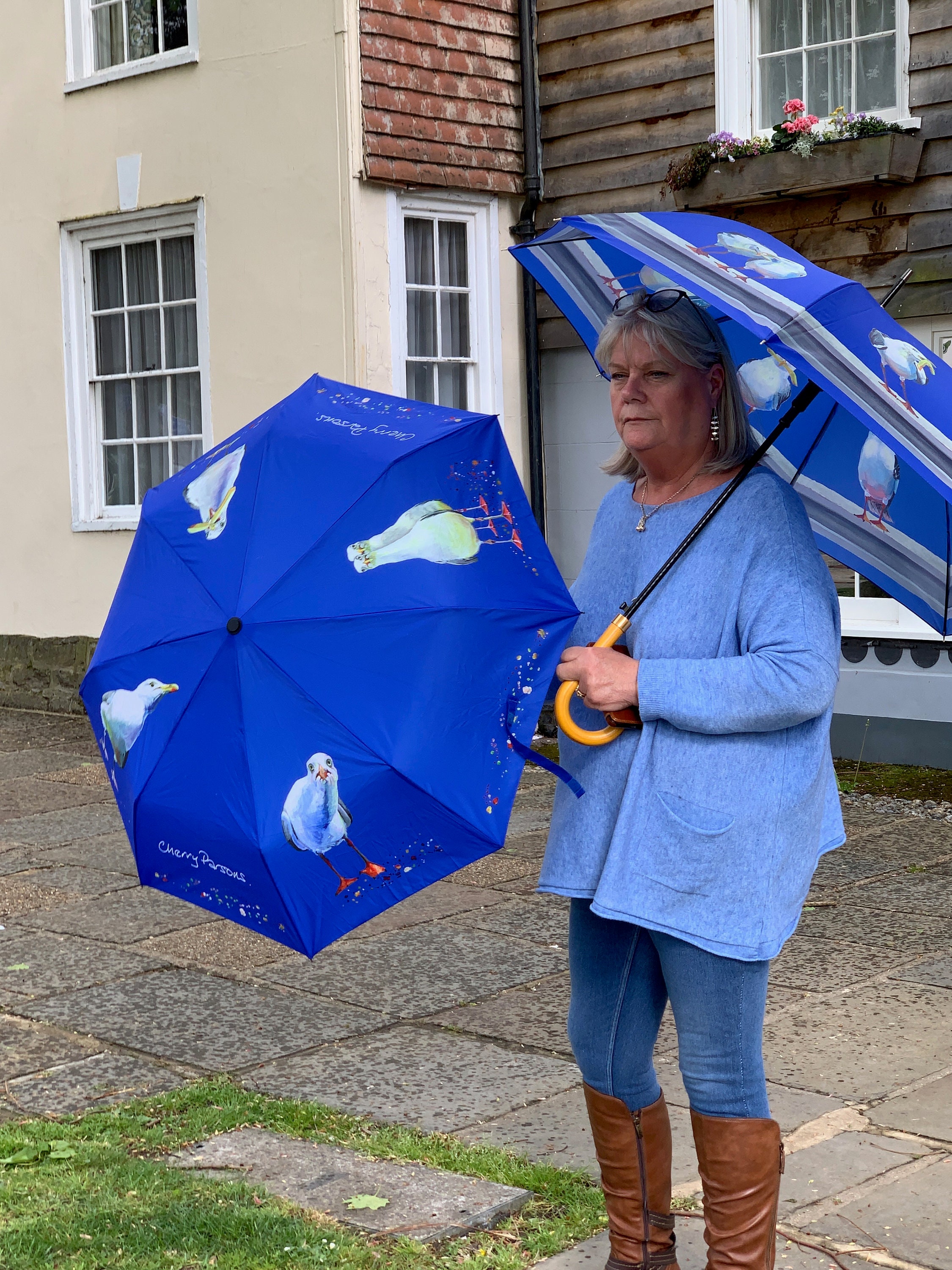 4 Panel Blue Cane Seagull Umbrella Etsy UK