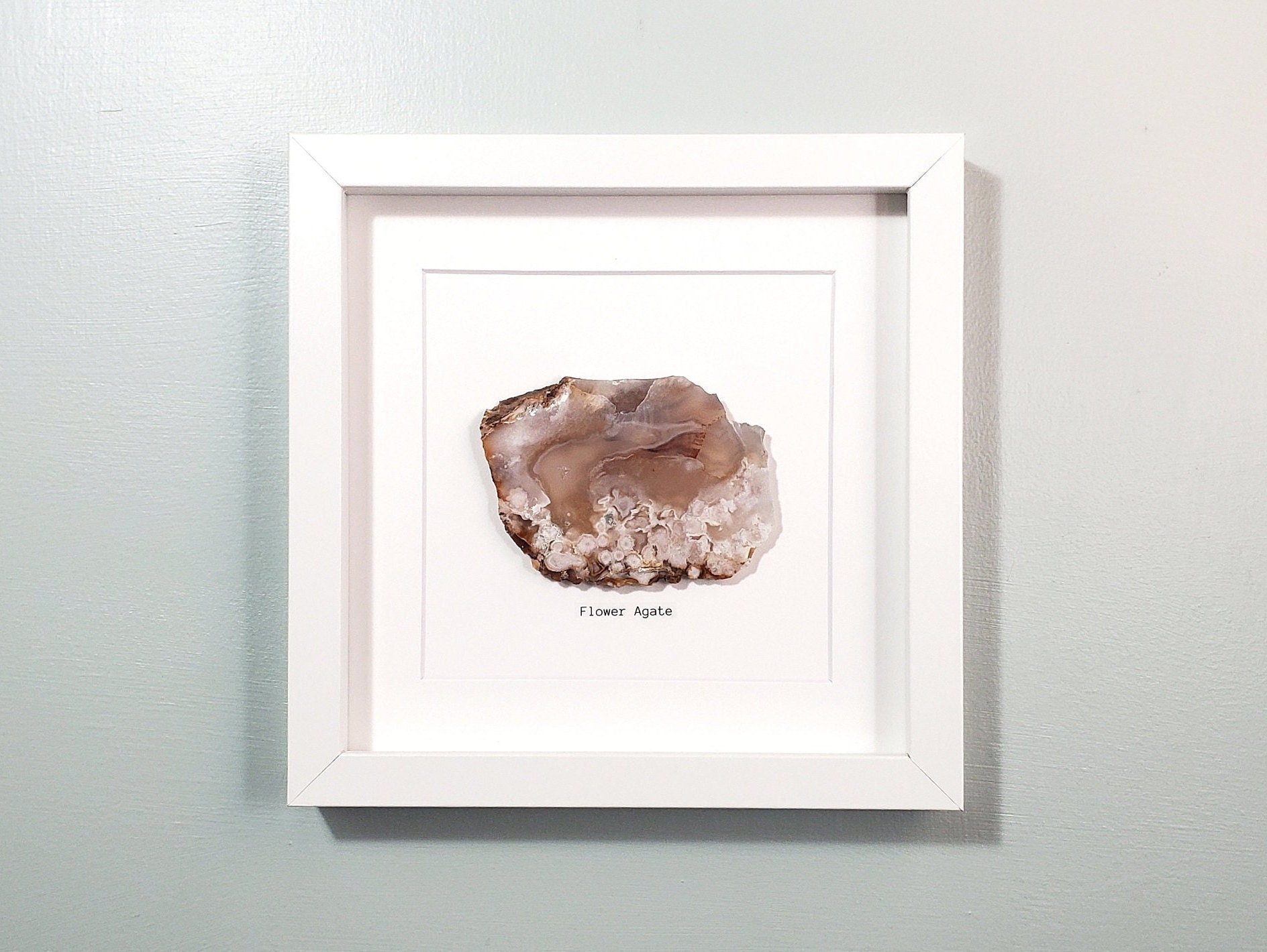 Flower Agate Wall Art Framed Stone Specimen in Shadow Box Etsy