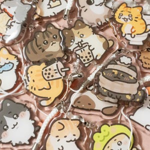 Mehr Dumme Katzen Schlüsselanhänger Doppelseitig Acryl Charm