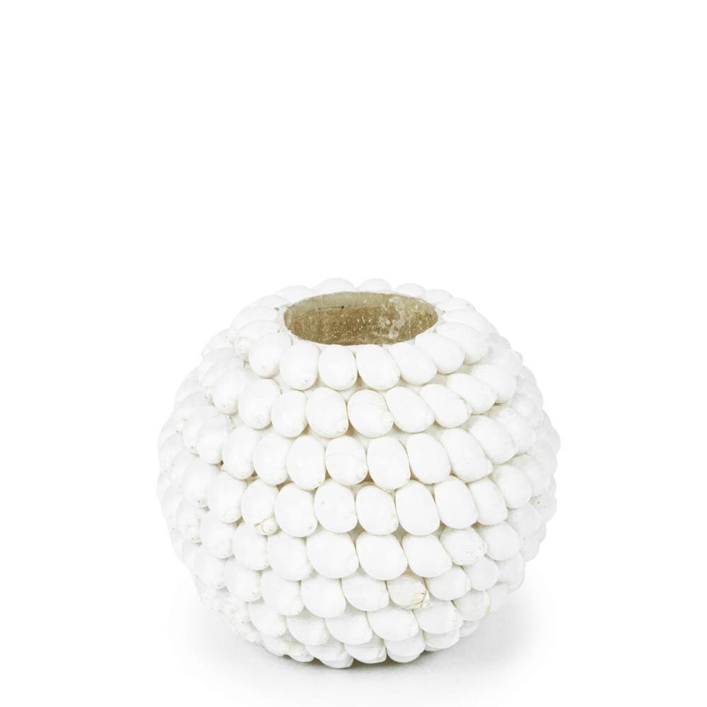 Bougeoir Photophore en Coquillage, Décoration Bohème