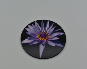 Water Lily - Purple