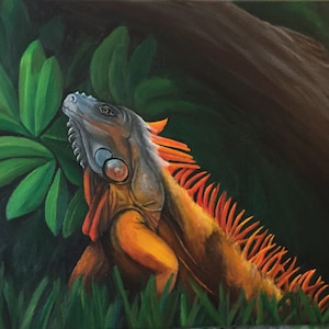 Iguana