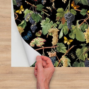 Art Nouveau Wallpaper, Winery Wall Decal, Botanical Grapevine Wall Mural, Vintage Wallpaper Peel and Stick