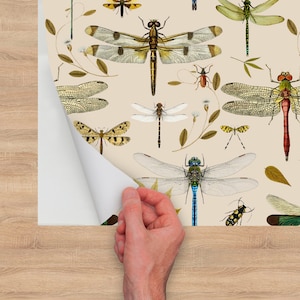 Botanical Wall Paper With Dragonfly, Beige Wallpaper Peel and Stick