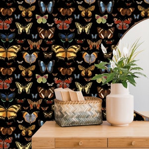 Dark Botanical Wall Paper, Butterfly Wallpaper, Black Wall Paper Peel and Stick, Cute Wall Decor