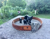 Elephant Belt And Buckle, Also Mama Elephant And Two Baby in wood 1960s