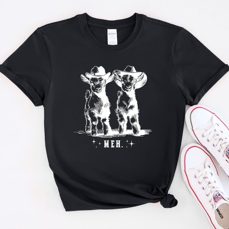 a couple of sheep standing next to each other
