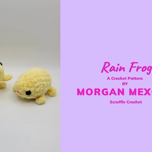 DIGITAL PDF crochet PATTERN Rain Frog