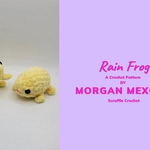 DIGITAL PDF Rain Frog Crochet Pattern