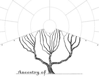 4 Generation Family Tree Chart BLACK - House Elves Anonymous