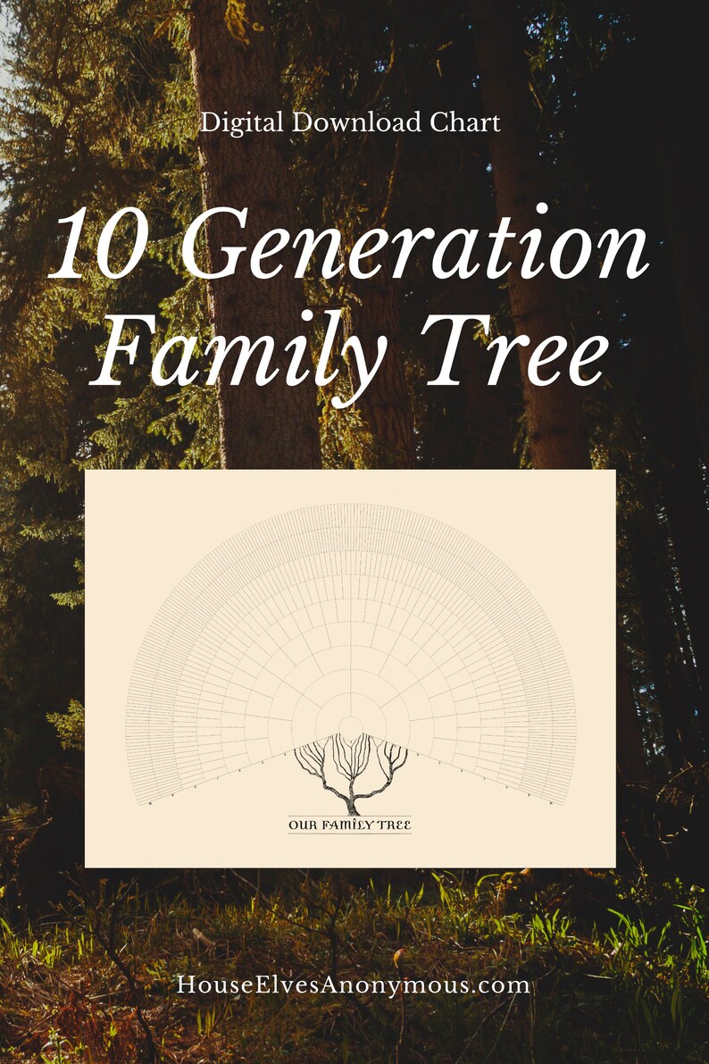 Family Tree Fan Chart for 10 Generations With Branches Vintage Green ...
