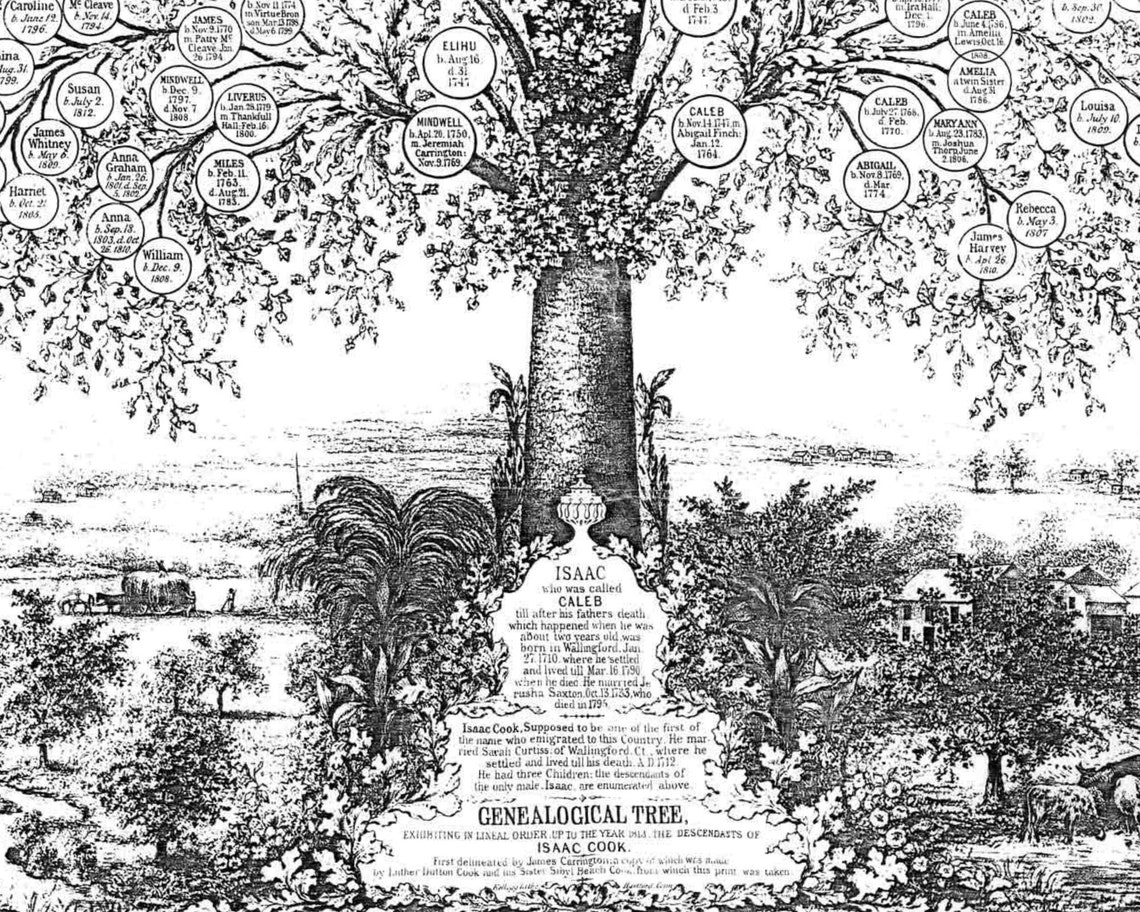 Family Tree Chart Poster FREEFORM for Nontraditional Family Groups