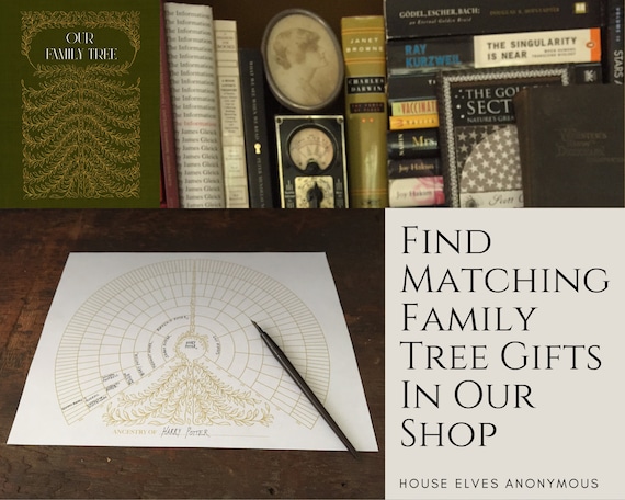 Family Tree Record Book Genealogy Organiser Notebook Generation History  Workbook