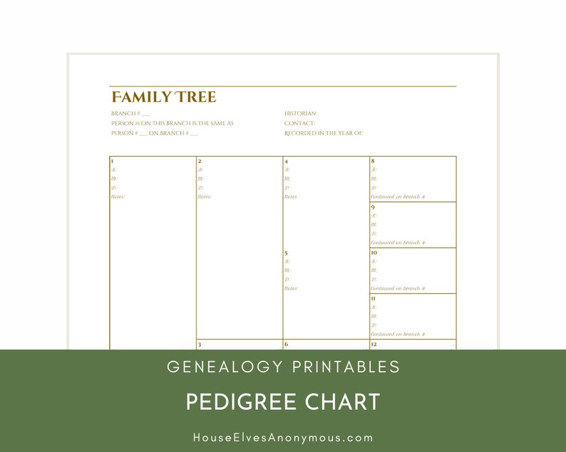 4 GENERATION family tree chart, simple genealogy branch system printable PDF, A4 or US Letter blank pedigree record, instant download image 8