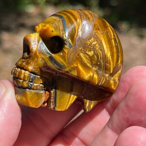 Tigers Eye carved skull Bild 3