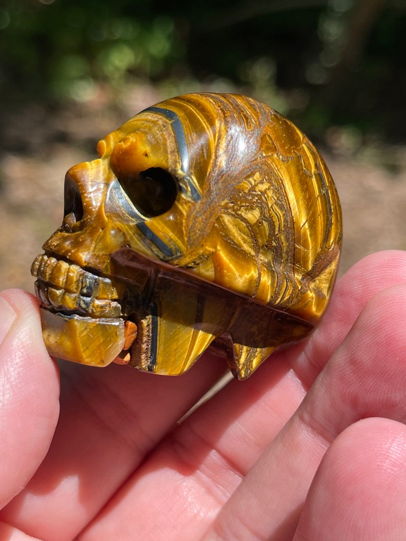 Tigers Eye carved skull image 3