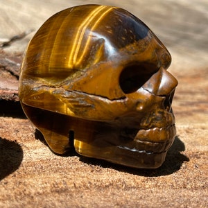 Tigers Eye carved skull Bild 8