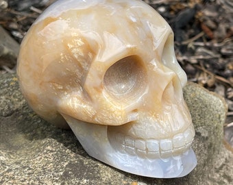 Agate Gemstone Skull