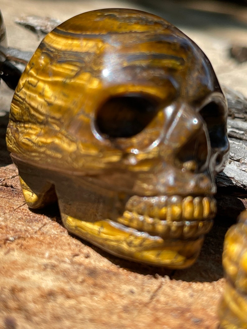 Tigers Eye carved skull Bild 6