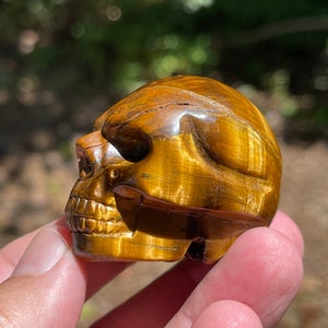 Tigers Eye carved skull Bild 5