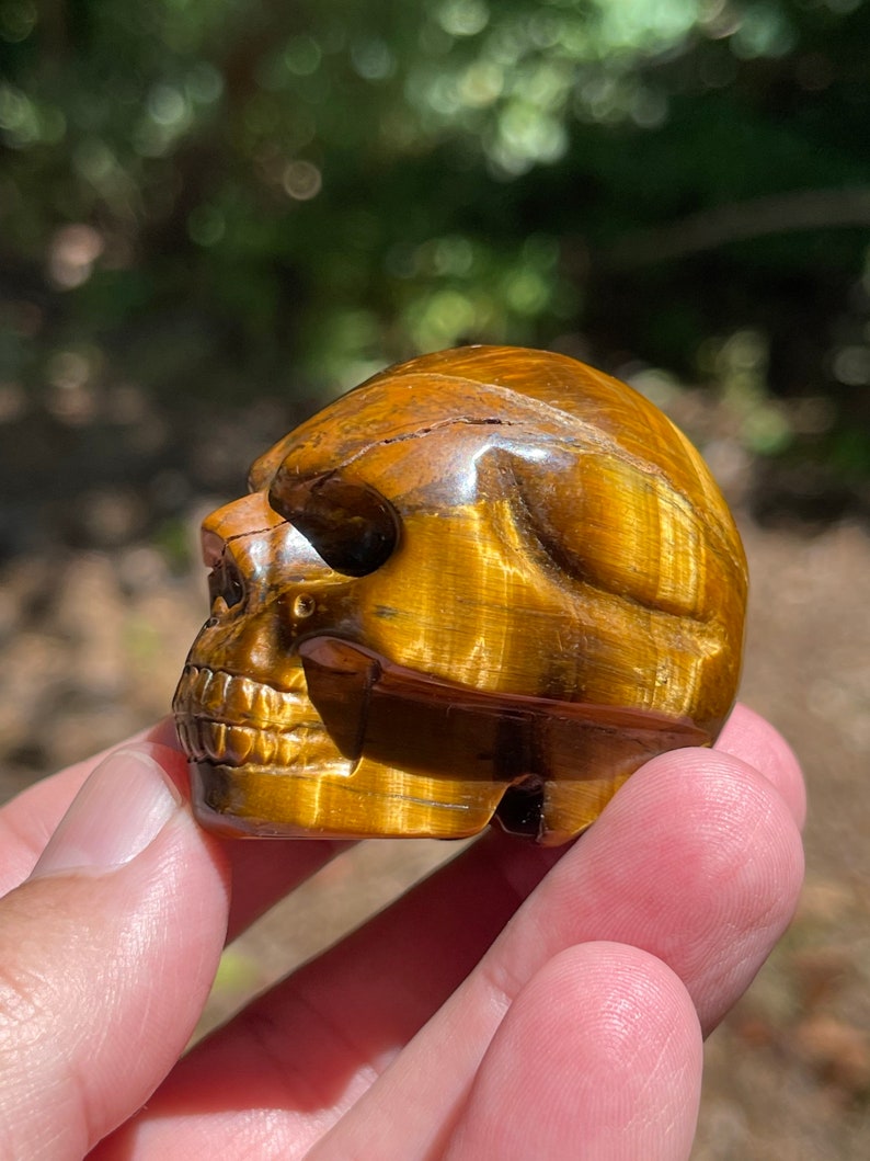 Tigers Eye carved skull Bild 5