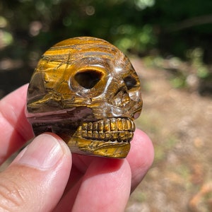 Tigers Eye carved skull Bild 7